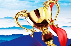 中國(guó)照明行業(yè)河北省100強(qiáng)經(jīng)銷商